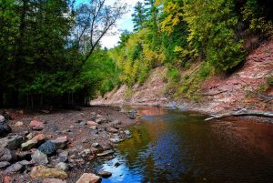 Beautiful Nature Scene in Wisconsin